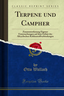 Terpene und Campher: Zusammenfassung Eigener Untersuchungen auf dem Gebiet der Alicyclischen Kohlenstoffverbindungen (Classic Reprint)