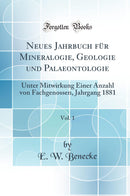Neues Jahrbuch für Mineralogie, Geologie und Palaeontologie, Vol. 1: Unter Mitwirkung Einer Anzahl von Fachgenossen, Jahrgang 1881 (Classic Reprint)