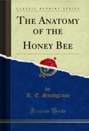 The Anatomy of the Honey Bee (Classic Reprint)