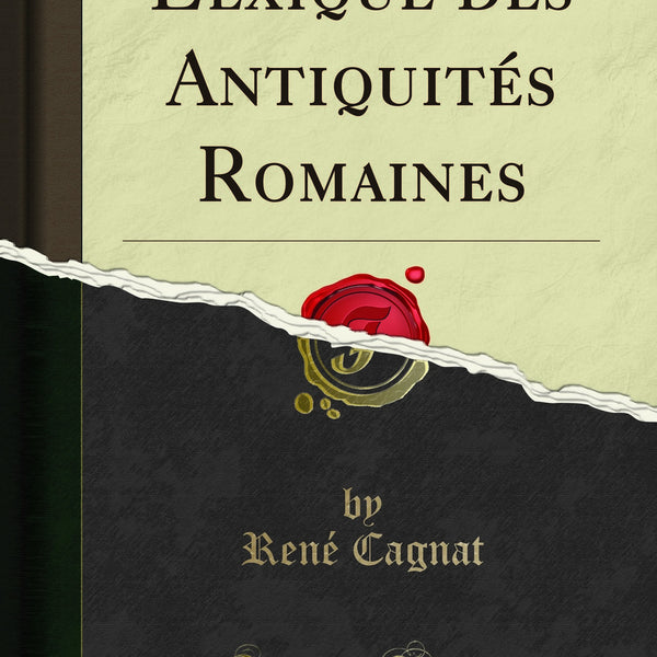 Rênes Romaines Pour équitation - Équipement D'occasion En Bon état Fonctionnel
