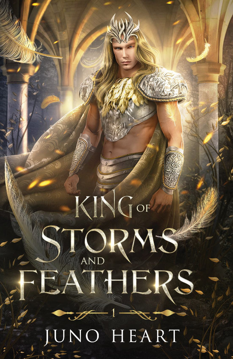 King of Storms and Feathers: Special Fae King Edition
