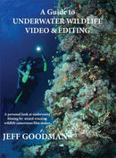 A Guide to Underwater Wildlife Video & Editing 