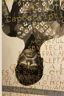 Caposcripti
