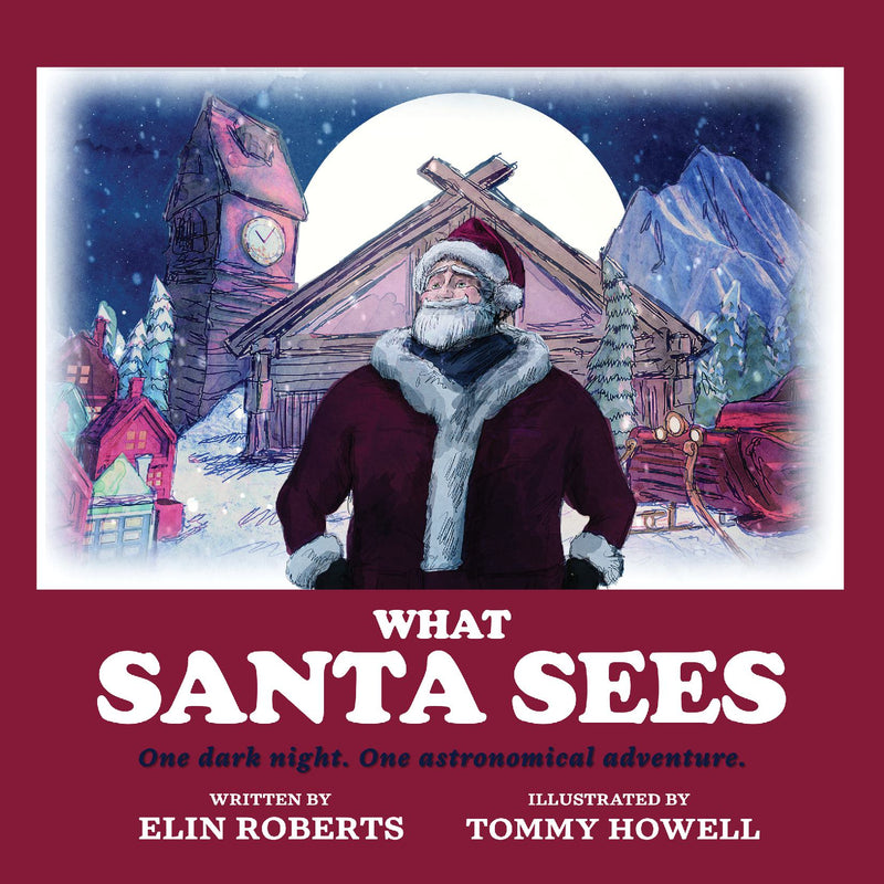 What Santa Sees