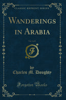 Wanderings in Arabia, Vol. 1 of 2 (Classic Reprint)