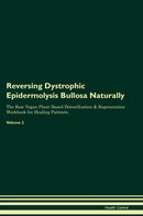 Reversing Dystrophic Epidermolysis Bullosa Naturally The Raw Vegan Plant-Based Detoxification & Regeneration Workbook for Healing Patients. Volume 2
