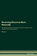 Reversing Electrical Burn Naturally The Raw Vegan Plant-Based Detoxification & Regeneration Workbook for Healing Patients. Volume 2