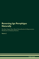Reversing Iga Pemphigus Naturally The Raw Vegan Plant-Based Detoxification & Regeneration Workbook for Healing Patients. Volume 2