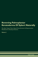 Reversing Palmoplantar Keratoderma Of Sybert Naturally The Raw Vegan Plant-Based Detoxification & Regeneration Workbook for Healing Patients. Volume 2
