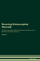 Reversing Schizencephaly Naturally The Raw Vegan Plant-Based Detoxification & Regeneration Workbook for Healing Patients. Volume 2