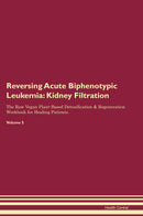 Reversing Acute Biphenotypic Leukemia: Kidney Filtration The Raw Vegan Plant-Based Detoxification & Regeneration Workbook for Healing Patients. Volume 5