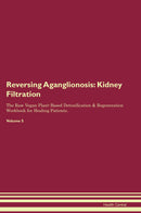 Reversing Aganglionosis: Kidney Filtration The Raw Vegan Plant-Based Detoxification & Regeneration Workbook for Healing Patients. Volume 5