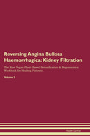 Reversing Angina Bullosa Haemorrhagica: Kidney Filtration The Raw Vegan Plant-Based Detoxification & Regeneration Workbook for Healing Patients. Volume 5
