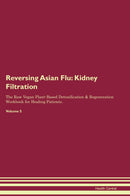 Reversing Asian Flu: Kidney Filtration The Raw Vegan Plant-Based Detoxification & Regeneration Workbook for Healing Patients. Volume 5