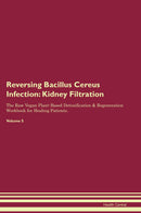 Reversing Bacillus Cereus Infection: Kidney Filtration The Raw Vegan Plant-Based Detoxification & Regeneration Workbook for Healing Patients. Volume 5