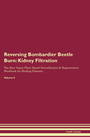 Reversing Bombardier Beetle Burn: Kidney Filtration The Raw Vegan Plant-Based Detoxification & Regeneration Workbook for Healing Patients. Volume 5