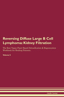 Reversing Diffuse Large B Cell Lymphoma: Kidney Filtration The Raw Vegan Plant-Based Detoxification & Regeneration Workbook for Healing Patients. Volume 5