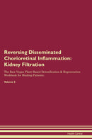 Reversing Disseminated Chorioretinal Inflammation: Kidney Filtration The Raw Vegan Plant-Based Detoxification & Regeneration Workbook for Healing Patients. Volume 5