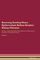 Reversing Dowling Meara Epidermolysis Bullosa Simplex: Kidney Filtration The Raw Vegan Plant-Based Detoxification & Regeneration Workbook for Healing Patients. Volume 5