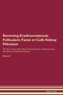 Reversing Erythromelanosis Follicularis Faciei et Colli: Kidney Filtration The Raw Vegan Plant-Based Detoxification & Regeneration Workbook for Healing Patients. Volume 5