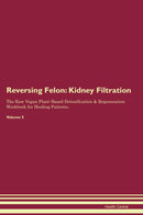 Reversing Felon: Kidney Filtration The Raw Vegan Plant-Based Detoxification & Regeneration Workbook for Healing Patients. Volume 5