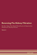 Reversing Flu: Kidney Filtration The Raw Vegan Plant-Based Detoxification & Regeneration Workbook for Healing Patients. Volume 5