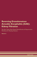 Reversing Granulomatous Amoebic Encephalitis (GAE): Kidney Filtration The Raw Vegan Plant-Based Detoxification & Regeneration Workbook for Healing Patients. Volume 5