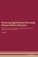 Reversing Igg4 Related Sclerosing Disease: Kidney Filtration The Raw Vegan Plant-Based Detoxification & Regeneration Workbook for Healing Patients. Volume 5