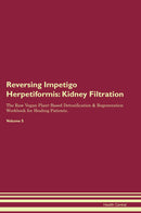 Reversing Impetigo Herpetiformis: Kidney Filtration The Raw Vegan Plant-Based Detoxification & Regeneration Workbook for Healing Patients. Volume 5