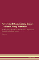 Reversing Inflammatory Breast Cancer: Kidney Filtration The Raw Vegan Plant-Based Detoxification & Regeneration Workbook for Healing Patients. Volume 5