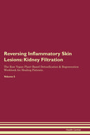 Reversing Inflammatory Skin Lesions: Kidney Filtration The Raw Vegan Plant-Based Detoxification & Regeneration Workbook for Healing Patients. Volume 5