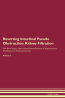 Reversing Intestinal Pseudo Obstruction: Kidney Filtration The Raw Vegan Plant-Based Detoxification & Regeneration Workbook for Healing Patients. Volume 5