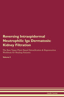 Reversing Intraepidermal Neutrophilic Iga Dermatosis: Kidney Filtration The Raw Vegan Plant-Based Detoxification & Regeneration Workbook for Healing Patients. Volume 5