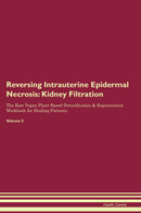 Reversing Intrauterine Epidermal Necrosis: Kidney Filtration The Raw Vegan Plant-Based Detoxification & Regeneration Workbook for Healing Patients. Volume 5