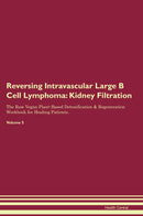 Reversing Intravascular Large B Cell Lymphoma: Kidney Filtration The Raw Vegan Plant-Based Detoxification & Regeneration Workbook for Healing Patients. Volume 5