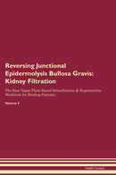 Reversing Junctional Epidermolysis Bullosa Gravis: Kidney Filtration The Raw Vegan Plant-Based Detoxification & Regeneration Workbook for Healing Patients. Volume 5