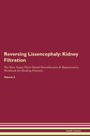 Reversing Lissencephaly: Kidney Filtration The Raw Vegan Plant-Based Detoxification & Regeneration Workbook for Healing Patients. Volume 5