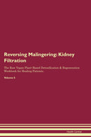Reversing Malingering: Kidney Filtration The Raw Vegan Plant-Based Detoxification & Regeneration Workbook for Healing Patients. Volume 5