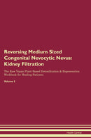 Reversing Medium Sized Congenital Nevocytic Nevus: Kidney Filtration The Raw Vegan Plant-Based Detoxification & Regeneration Workbook for Healing Patients. Volume 5