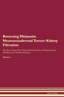 Reversing Melanotic Neuroectodermal Tumor: Kidney Filtration The Raw Vegan Plant-Based Detoxification & Regeneration Workbook for Healing Patients. Volume 5