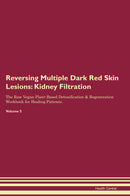 Reversing Multiple Dark Red Skin Lesions: Kidney Filtration The Raw Vegan Plant-Based Detoxification & Regeneration Workbook for Healing Patients. Volume 5