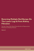 Reversing Multiple Red Bumps On The Lower Legs & Feet: Kidney Filtration The Raw Vegan Plant-Based Detoxification & Regeneration Workbook for Healing Patients. Volume 5