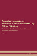 Reversing Nonbacterial Thrombotic Endocarditis (NBTE): Kidney Filtration The Raw Vegan Plant-Based Detoxification & Regeneration Workbook for Healing Patients. Volume 5