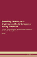 Reversing Palmoplantar Erythrodysesthesia Syndrome: Kidney Filtration The Raw Vegan Plant-Based Detoxification & Regeneration Workbook for Healing Patients. Volume 5