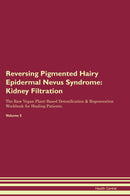 Reversing Pigmented Hairy Epidermal Nevus Syndrome: Kidney Filtration The Raw Vegan Plant-Based Detoxification & Regeneration Workbook for Healing Patients. Volume 5