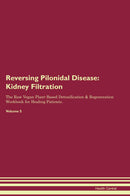 Reversing Pilonidal Disease: Kidney Filtration The Raw Vegan Plant-Based Detoxification & Regeneration Workbook for Healing Patients. Volume 5