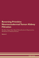 Reversing Primitive Neuroectodermal Tumor: Kidney Filtration The Raw Vegan Plant-Based Detoxification & Regeneration Workbook for Healing Patients. Volume 5