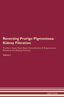 Reversing Prurigo Pigmentosa: Kidney Filtration The Raw Vegan Plant-Based Detoxification & Regeneration Workbook for Healing Patients. Volume 5