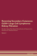 Reversing Secondary Cutaneous Cd30+ Large Cell Lymphoma: Kidney Filtration The Raw Vegan Plant-Based Detoxification & Regeneration Workbook for Healing Patients. Volume 5