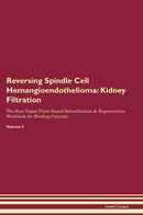 Reversing Spindle Cell Hemangioendothelioma: Kidney Filtration The Raw Vegan Plant-Based Detoxification & Regeneration Workbook for Healing Patients. Volume 5